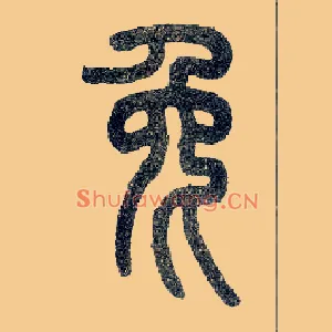 兔