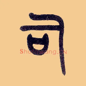 司