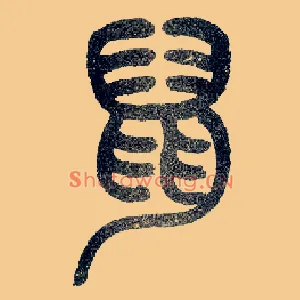 鼠
