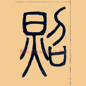 照