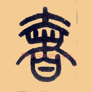 奢