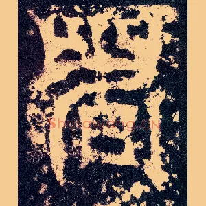 者