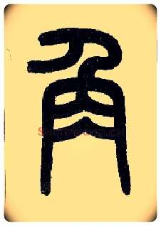 角毛笔小篆写法,摘自近现代王福庵说文部首