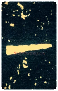 一毛笔大篆写法,摘自西周大盂鼎